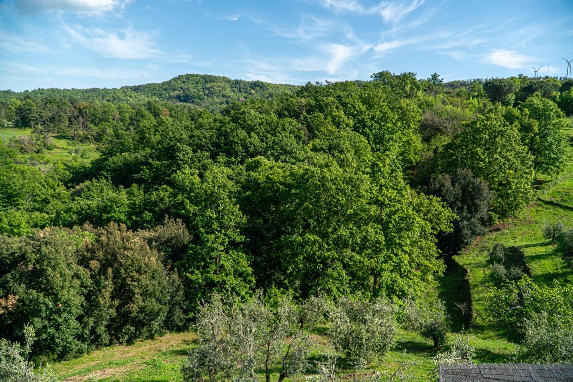 Piccozzo Agritour Aparthotel Casciana Terme Bagian luar foto